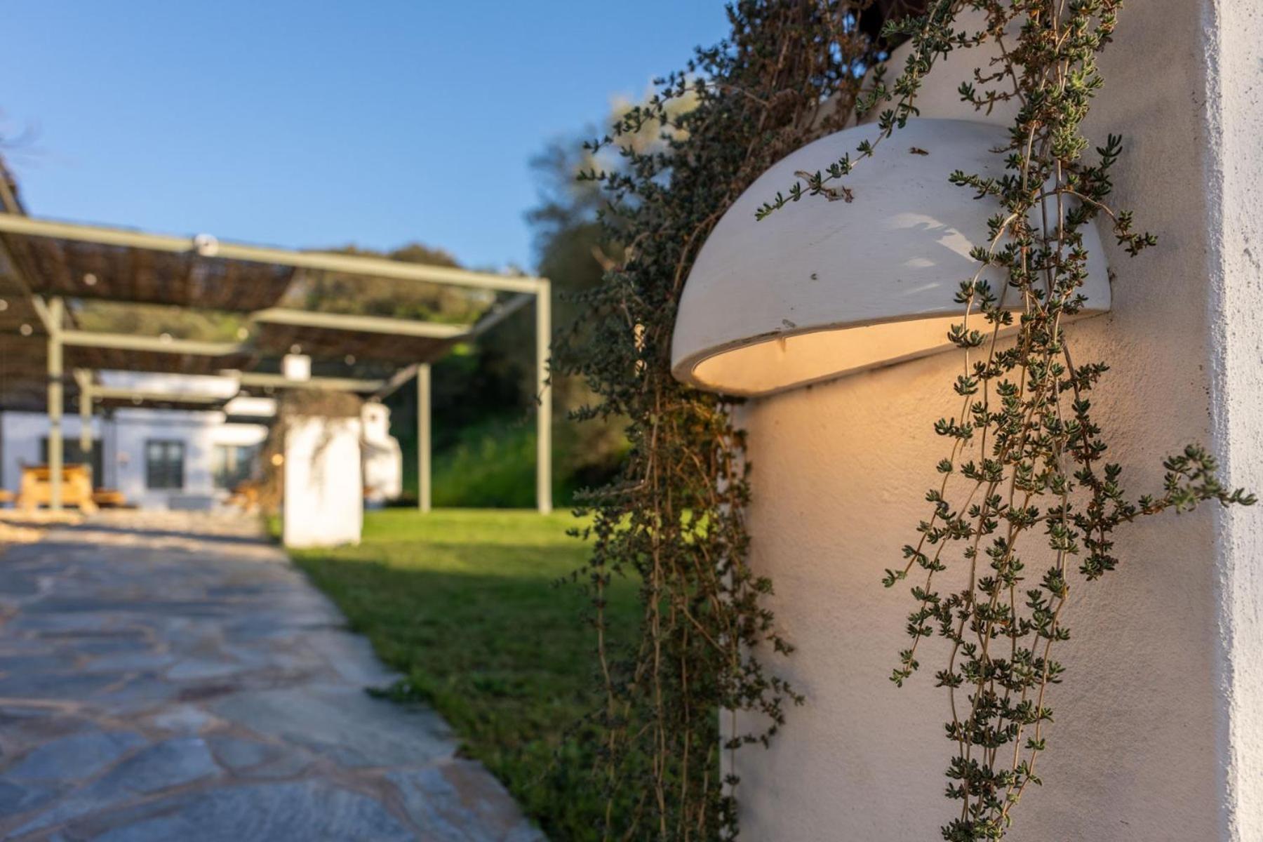 Apartamentos, Finca Contrabando Sanlucar Del Guadiana, Huelva Санлукар-де-Гвадиана Экстерьер фото